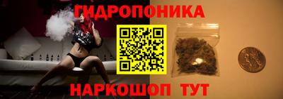 стафф Лесосибирск
