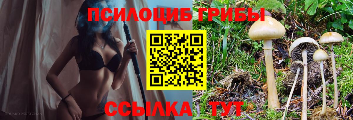 Барабинск  Галлюциногенные грибы прущие грибы  Псилоцибиновые грибы MAGIC MUSHROOMS  Вход с VPN 